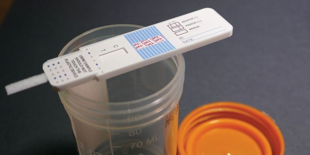 Unveiling the Power of the Best Synthetic Urine Kit in Drug Testing