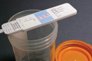 Unveiling the Power of the Best Synthetic Urine Kit in Drug Testing